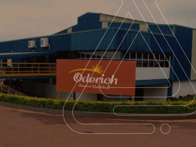 CASE DE SUCESSO: como ajudamos a Oderich na melhoria dos processos?